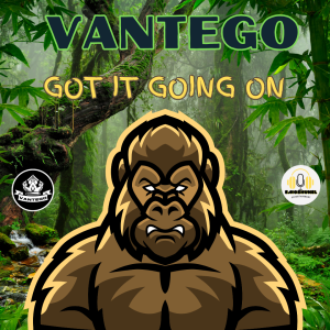 Vantego Album Cover and Song - Got It Going On
